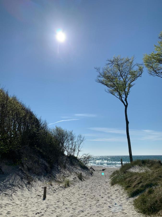 Strandgut - Kavelweg 9 -